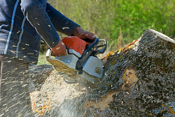 Best Lawn Irrigation Installation and Maintenance  in Berne, IN